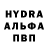 Amphetamine VHQ Kot Fevralsky