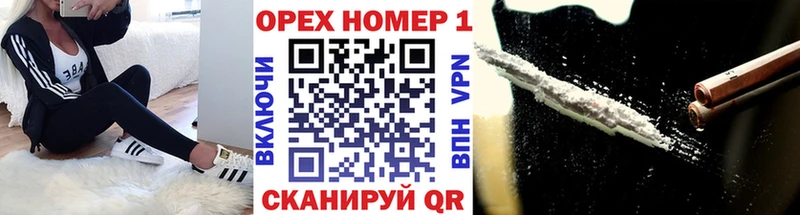 где купить   Новая Ладога  shop состав  COCAIN Эквадор 