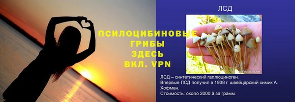ПСИЛОЦИБИНОВЫЕ ГРИБЫ Горно-Алтайск