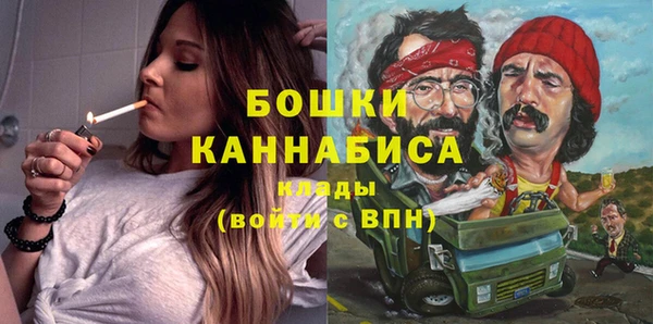шишки Алексеевка