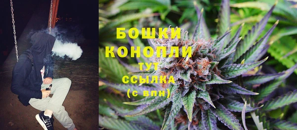 ешки Горнозаводск