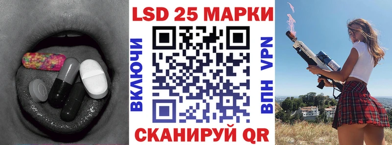 где купить наркоту  Новая Ладога  Лсд 25 экстази ecstasy 